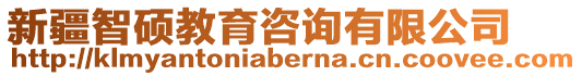 新疆智碩教育咨詢有限公司