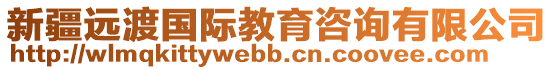 新疆遠渡國際教育咨詢有限公司