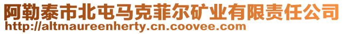 阿勒泰市北屯馬克菲爾礦業(yè)有限責(zé)任公司