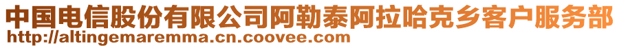 中國(guó)電信股份有限公司阿勒泰阿拉哈克鄉(xiāng)客戶服務(wù)部