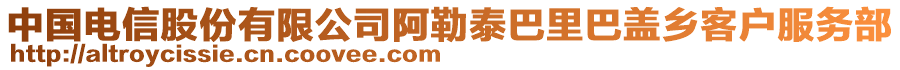 中國電信股份有限公司阿勒泰巴里巴蓋鄉(xiāng)客戶服務(wù)部