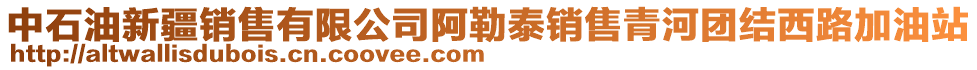 中石油新疆销售有限公司阿勒泰销售青河团结西路加油站