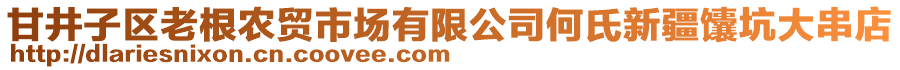 甘井子區(qū)老根農(nóng)貿(mào)市場有限公司何氏新疆馕坑大串店