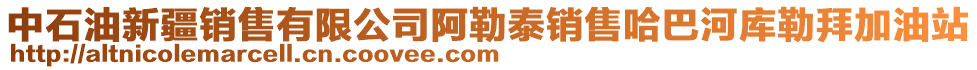 中石油新疆銷(xiāo)售有限公司阿勒泰銷(xiāo)售哈巴河庫(kù)勒拜加油站