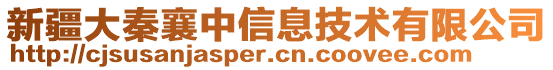 新疆大秦襄中信息技術(shù)有限公司