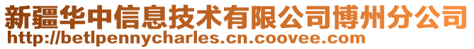 新疆華中信息技術(shù)有限公司博州分公司