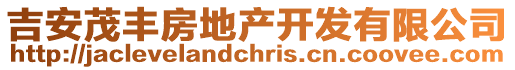 吉安茂豐房地產(chǎn)開發(fā)有限公司