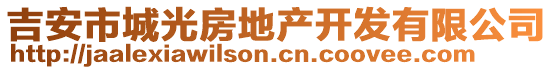 吉安市城光房地產(chǎn)開發(fā)有限公司