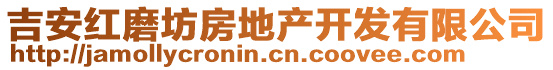 吉安紅磨坊房地產(chǎn)開發(fā)有限公司