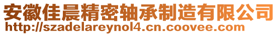 安徽佳晨精密軸承制造有限公司