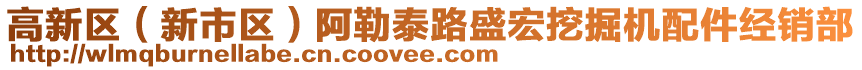 高新區(qū)（新市區(qū)）阿勒泰路盛宏挖掘機配件經(jīng)銷部