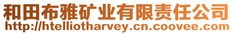 和田布雅礦業(yè)有限責任公司