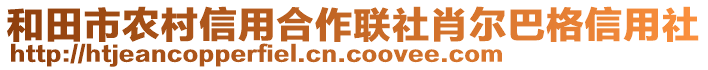 和田市農(nóng)村信用合作聯(lián)社肖爾巴格信用社