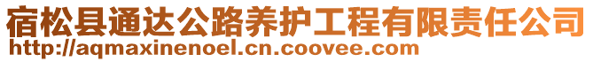 宿松縣通達公路養(yǎng)護工程有限責(zé)任公司