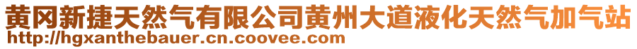 黃岡新捷天然氣有限公司黃州大道液化天然氣加氣站