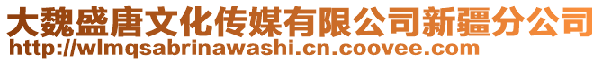 大魏盛唐文化傳媒有限公司新疆分公司