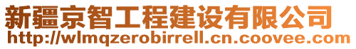 新疆京智工程建設(shè)有限公司