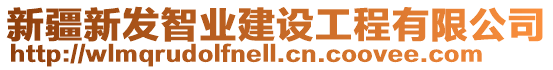 新疆新發(fā)智業(yè)建設(shè)工程有限公司