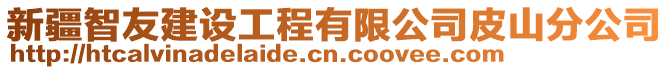 新疆智友建設工程有限公司皮山分公司