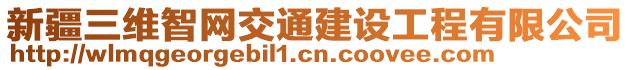 新疆三維智網(wǎng)交通建設(shè)工程有限公司