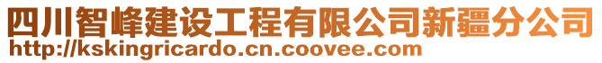 四川智峰建設(shè)工程有限公司新疆分公司