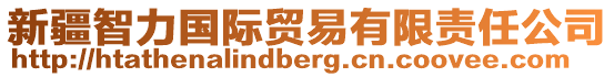 新疆智力國(guó)際貿(mào)易有限責(zé)任公司