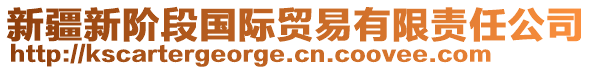 新疆新階段國(guó)際貿(mào)易有限責(zé)任公司