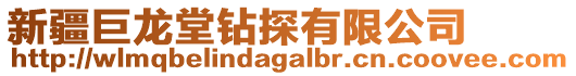 新疆巨龍?zhí)勉@探有限公司