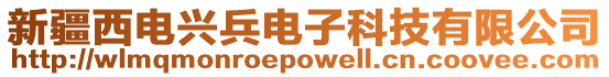 新疆西電興兵電子科技有限公司