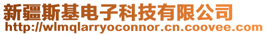 新疆斯基電子科技有限公司