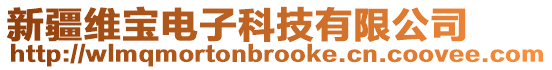 新疆維寶電子科技有限公司