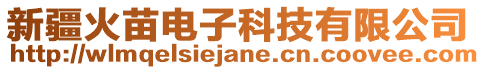 新疆火苗電子科技有限公司