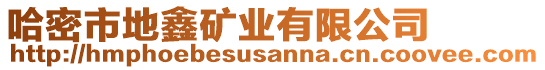 哈密市地鑫礦業(yè)有限公司