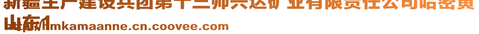 新疆生產(chǎn)建設(shè)兵團(tuán)第十三師興達(dá)礦業(yè)有限責(zé)任公司哈密黃
山東1