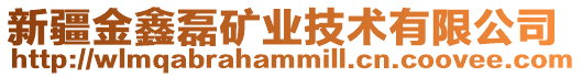 新疆金鑫磊礦業技術有限公司