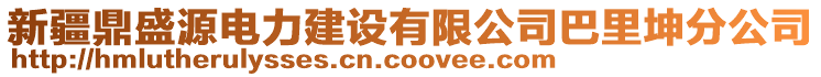 新疆鼎盛源電力建設(shè)有限公司巴里坤分公司