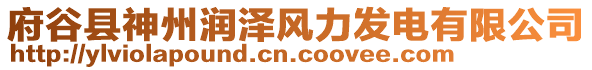 府谷縣神州潤澤風力發(fā)電有限公司