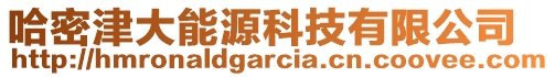 哈密津大能源科技有限公司