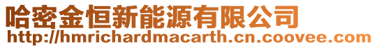 哈密金恒新能源有限公司