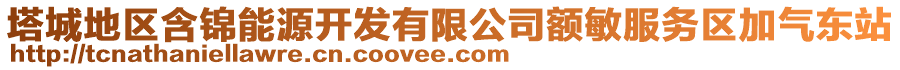 塔城地區(qū)含錦能源開(kāi)發(fā)有限公司額敏服務(wù)區(qū)加氣東站