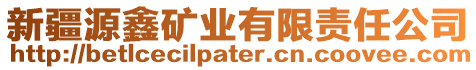 新疆源鑫礦業(yè)有限責(zé)任公司
