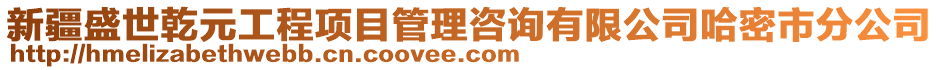 新疆盛世乾元工程項目管理咨詢有限公司哈密市分公司