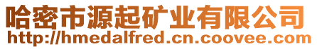 哈密市源起礦業(yè)有限公司