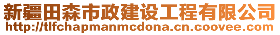 新疆田森市政建設(shè)工程有限公司