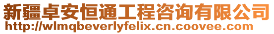 新疆卓安恒通工程咨詢有限公司