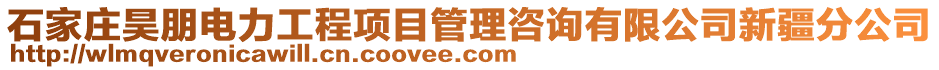 石家莊昊朋電力工程項目管理咨詢有限公司新疆分公司