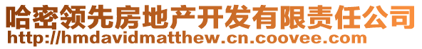 哈密領(lǐng)先房地產(chǎn)開發(fā)有限責任公司