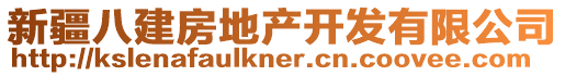 新疆八建房地產(chǎn)開發(fā)有限公司