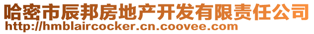 哈密市辰邦房地產開發(fā)有限責任公司