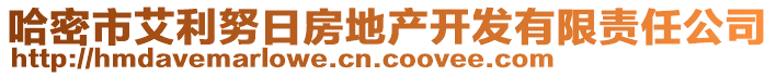 哈密市艾利努日房地產開發(fā)有限責任公司